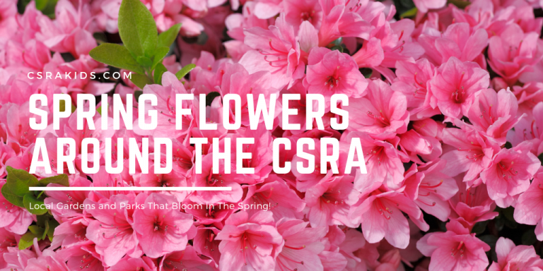 Article Graphic – 2025-02-10T145033.415