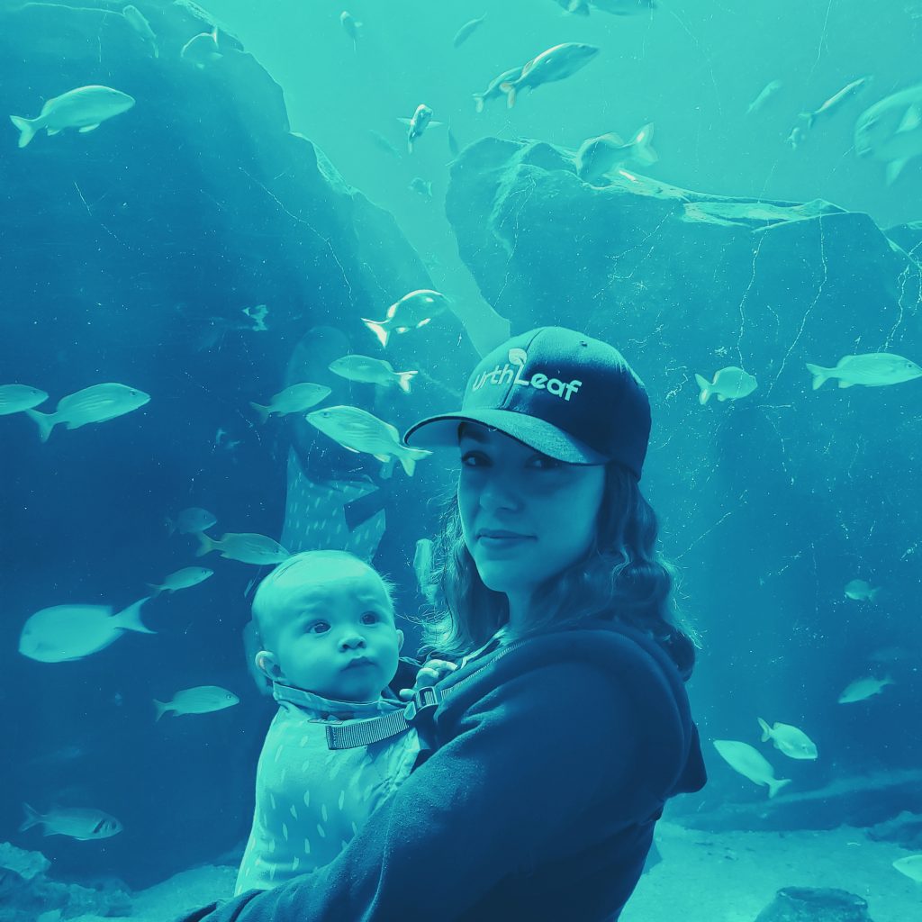 25 Reasons To Visit The Aquarium CSRA Kids Day Trips From