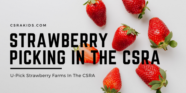 Article Graphic – 2021-03-03T093208.042 strawberry picking in the csra