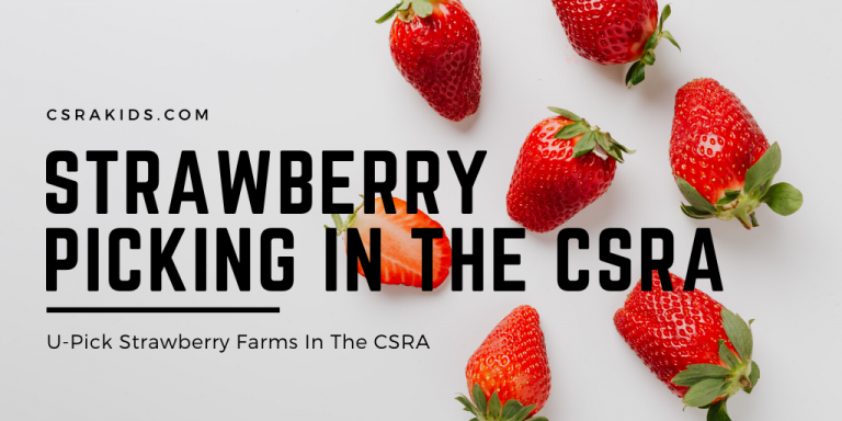 Article Graphic – 2021-03-03T093208.042 strawberry picking in the csra