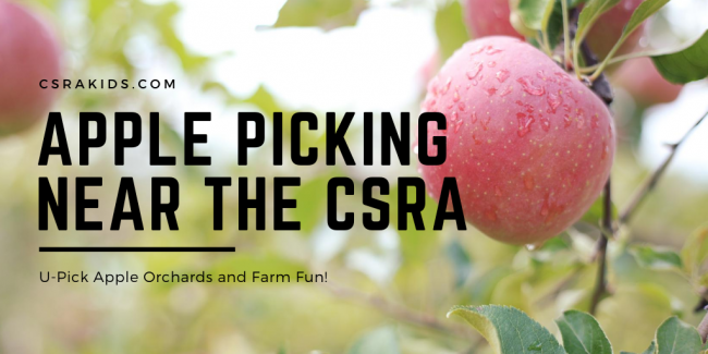 Article Graphic – 2020-07-31T134750.428 Apple Picking Near the CSRA
