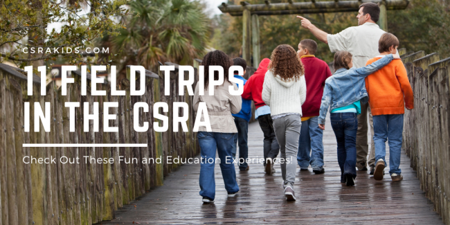 Article Graphic – 2021-07-27T163418.887