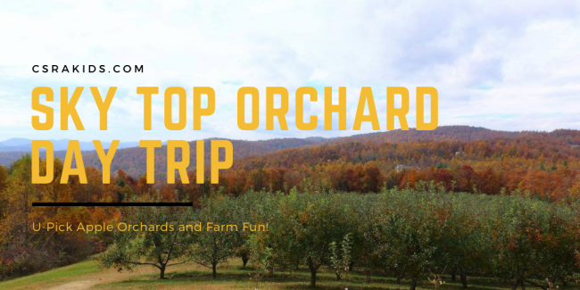 Article Graphic – 2020-08-31T155131.497 Sky Top Orchard