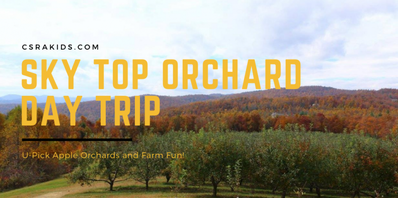 Sky Top Orchard
