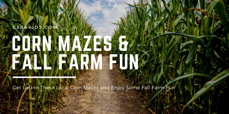 corn mazes and fall farm fun