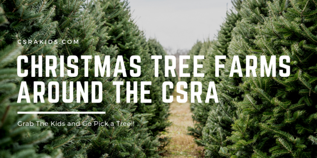 christmas tree farms christmas tree farms