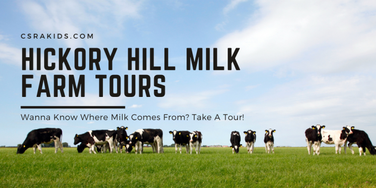 hickory hill milk farm tours hickory hill milk farm tours